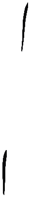 Image of the occurrence